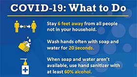 thumbnail of COVID-19: What to Do - English