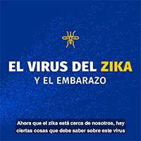 El virus eel zika y el embarazo Miniatura del video