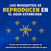 Elimine el aqua estancada Miniatura del video