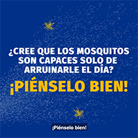 Texas, Declare la Guerra a los Mosquitos Miniatura del video