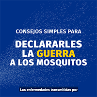 Declare la guerra a los mosquitos: Consejos simples Miniatura del video