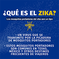 ¿Qué es el zika? Miniatura del video