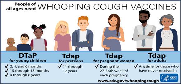 Whooping Cough Vaccines