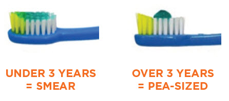 toothbrush with a smear and toothbrush with a pea-sized amount of toothpaste