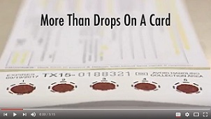 Blood samples on a newborn screening blood spot card.