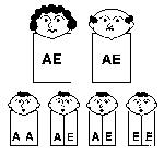 diagram showing possibilities of inheriting Hemoglobin E with each pregancy