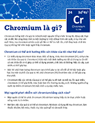 What is Chromium? - Vietnamese