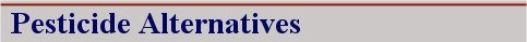 alternatives