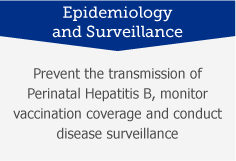 Epidemiology and Surveillance: Prevent the transmission of perinatal Hepatitis B, monitor vaccination coverage and conduct disease surveillance