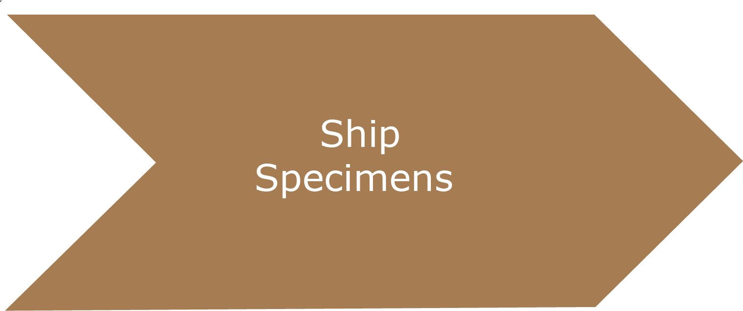 Ship Specimens
