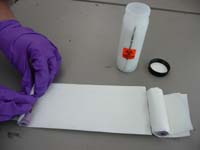 Wrap tubes in paper towels.