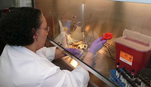 Photo of a Quality Control Analyst testing the lab's media, under a Biosafety Cabinet, using known reference strains.