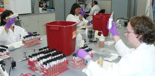 Photo of Consumer Microbiology Analysts testing bay water samples for the presence of Fecal Coliforms.