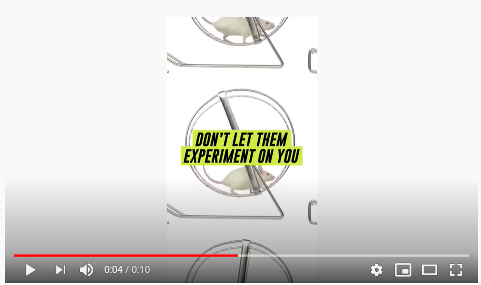 Lab Rat