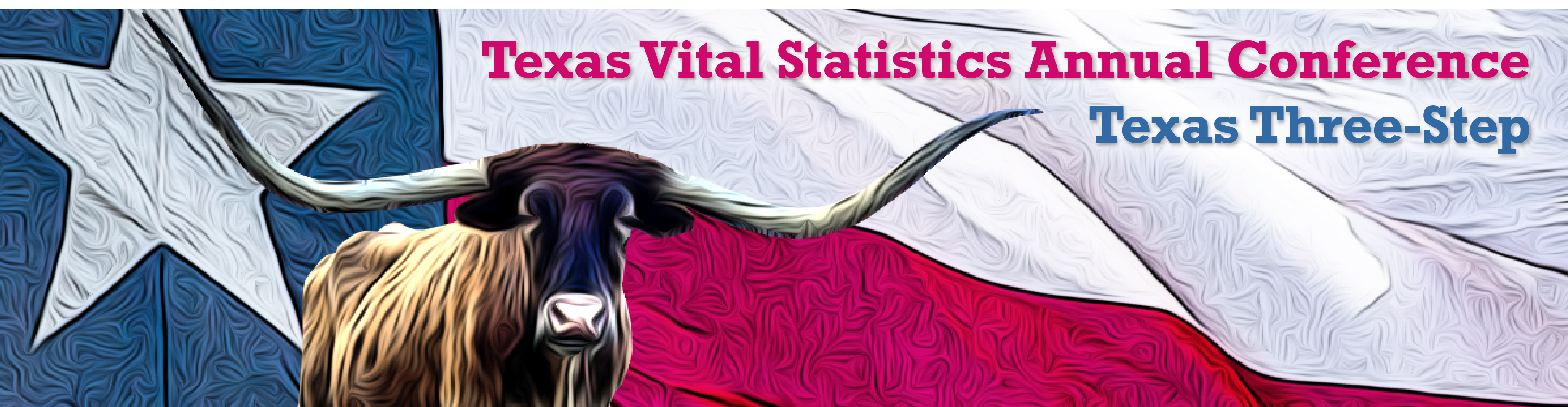 VSS Annual Conference Texas DSHS